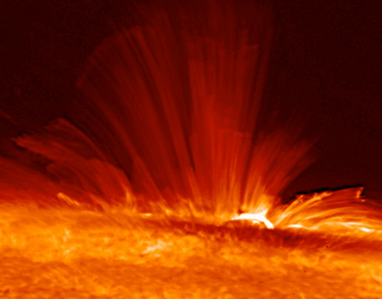 Hinode sees a sunspot from the side