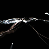 IKAROS self-portrait with Venus