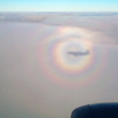 A multi-ring glory surrounds an aircraft's shadow