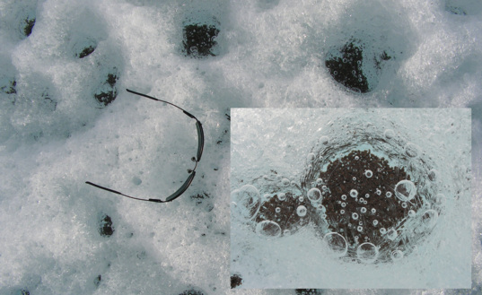 Cryoconites in glacier ice