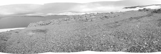 The wide-angle view