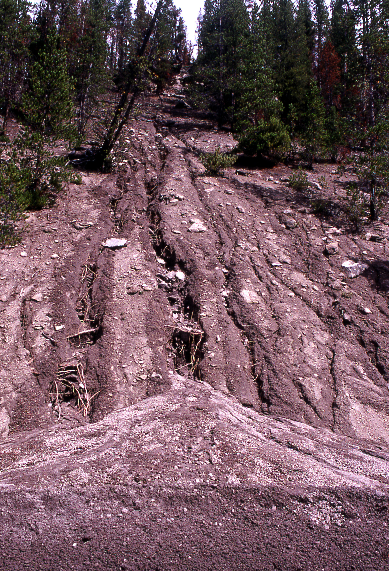 Mudslide And Erosion Caused By Heavy Rain Yellowstone National Park 