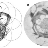 Map of Mars' south pole by Herschel