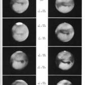 Seasonal developments of the dark markings on Mars, 1907-1956