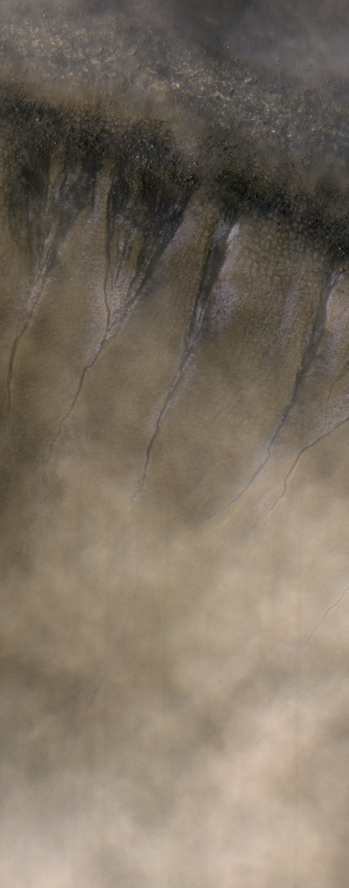 Gullies in the Mist