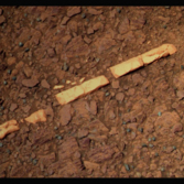 Homestake, Opportunity sol 2769