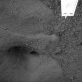 Snow Queen on sols 47 and 73