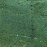 Cumberland unwrapped