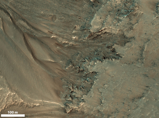 Recurring slope lineae (RSL) in Newton Crater, Mars