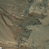 Recurring slope lineae (RSL) in Newton Crater, Mars