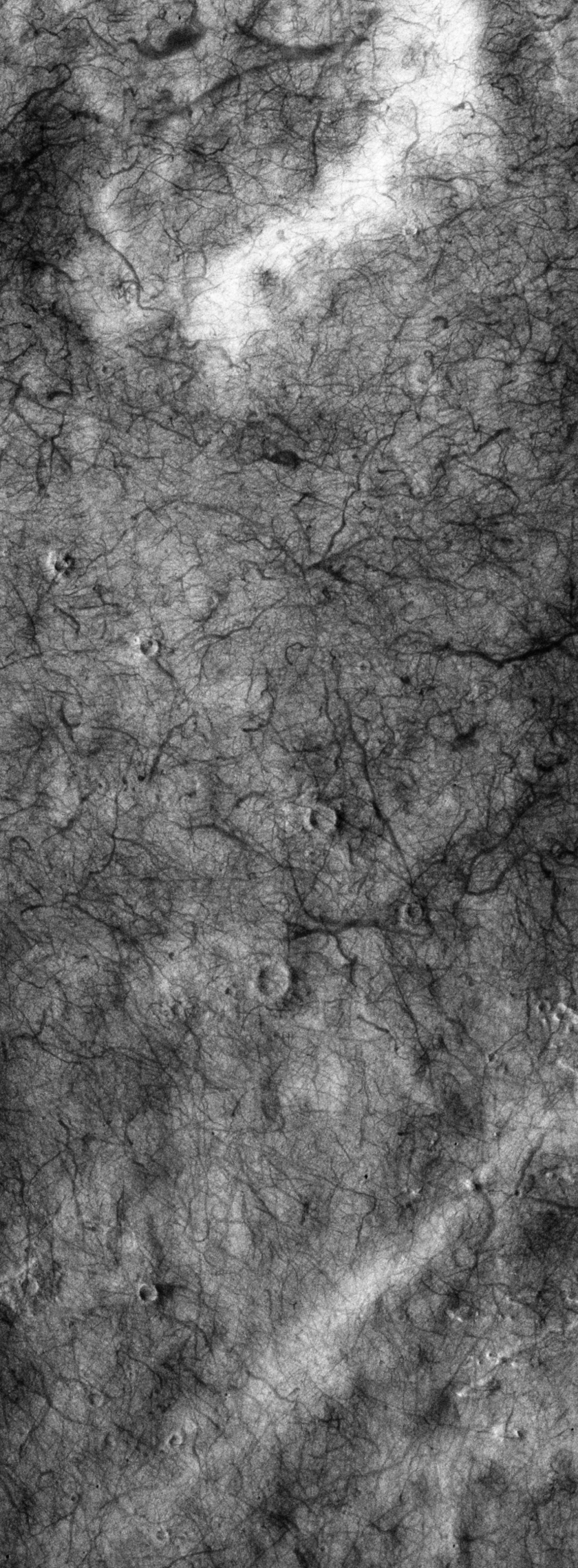 Devil Tracks