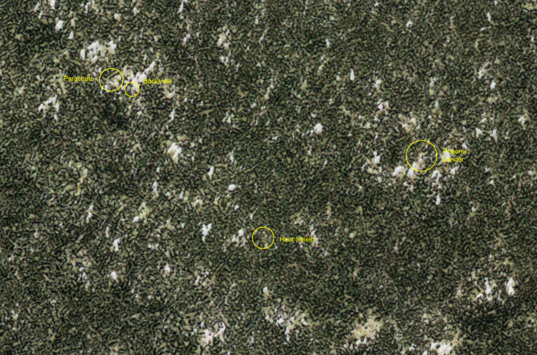 Phoenix landing site monitoring from HiRISE: July 30, 2009