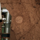 Luis de Torres brushed