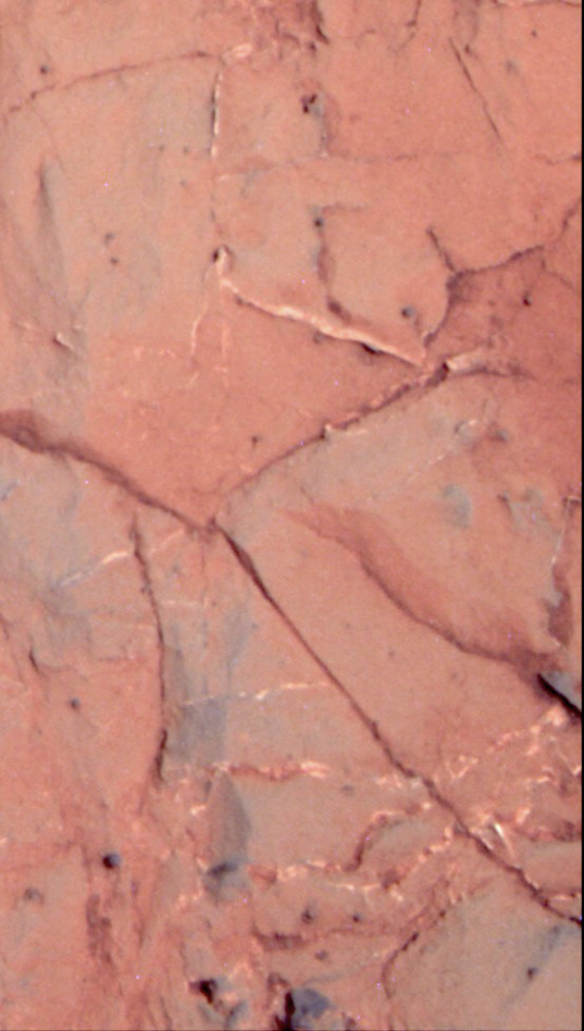 Gypsum veins at the Ortiz outcrop