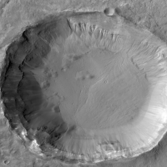 Gullied crater in Terra Cimmeria
