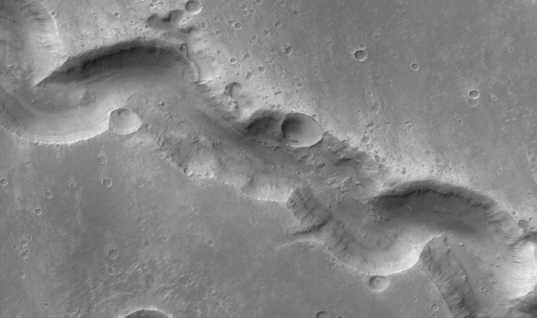 Gullies in Nigral Vallis