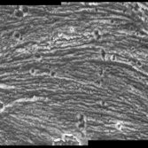 Uruk Sulcus, Ganymede