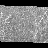Galileo mosaic of Ganymede