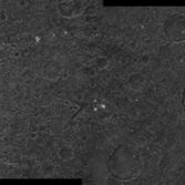 Nicholson Regio, Ganymede