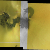 Prometheus flow field color mosaic