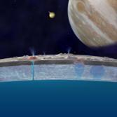 Taste of the Ocean on Europa's Surface