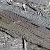 Agenor Linea, Europa