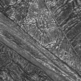 Southern border of Galileo Regio, Ganymede