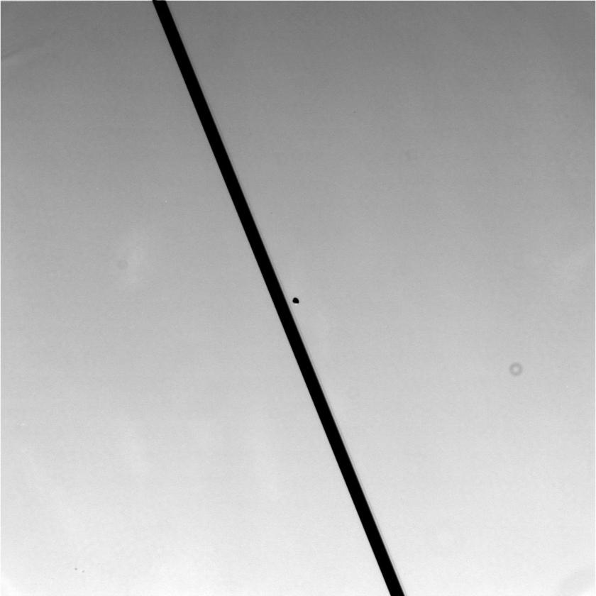 Pandora on July 16, 2005