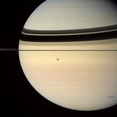 Rhea, ring shadows, and moon shadows on Saturn