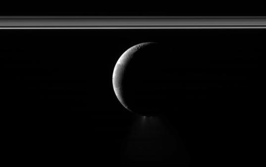 Enceladus, plumes, and rings