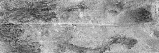 Cat scratches on Titan