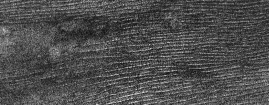 Longitudinal dunes on Titan