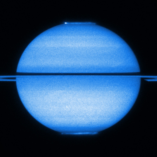 Saturn's aurorae