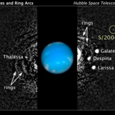S/2004 N1, a moon of Neptune