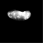 Opposition surge observed by Hayabusa at Itokawa