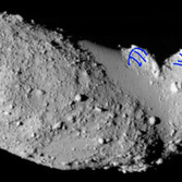 Itokawa: A sea otter?