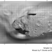 Gridded map of Ida (simple cylindrical projection)
