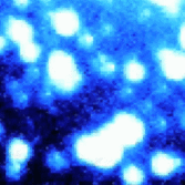 2011 HM102, a Neptune Trojan