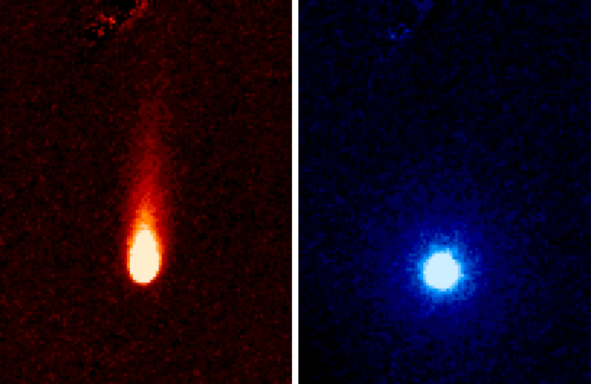 The two components of ISON