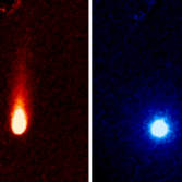 The two components of ISON