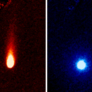 The two components of ISON