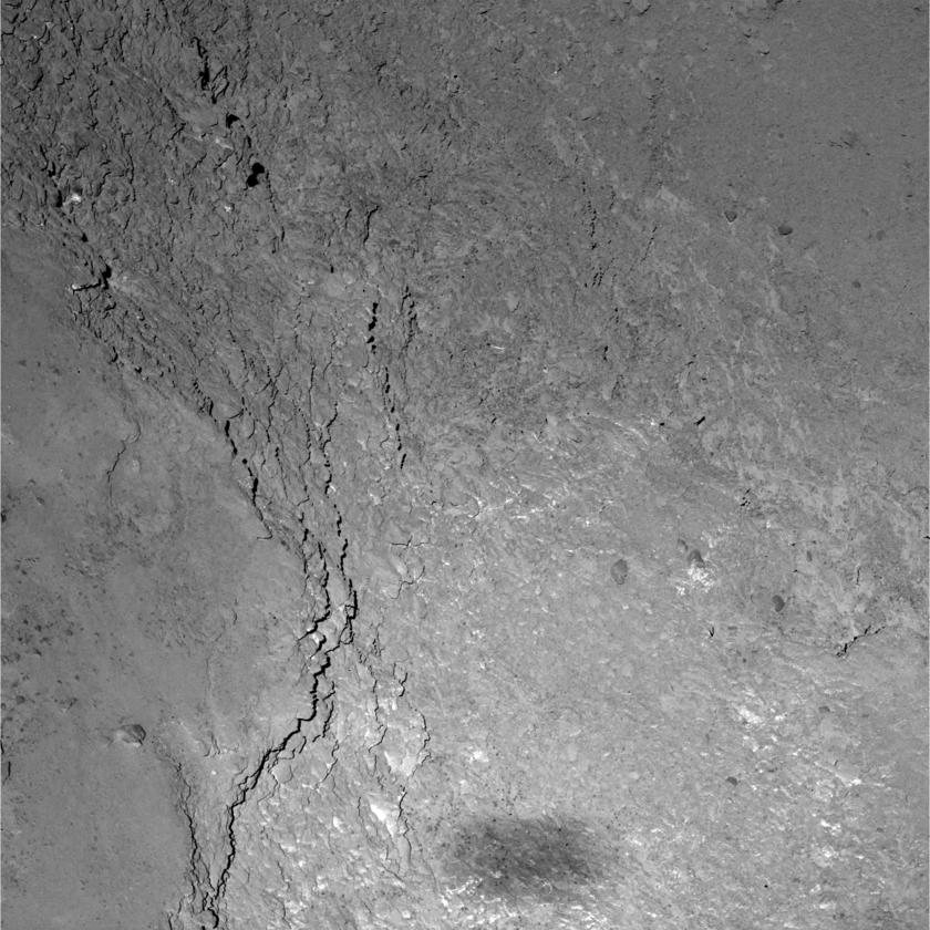 Rosetta sees its shadow