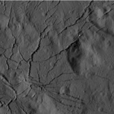 Web of canyons on Ceres
