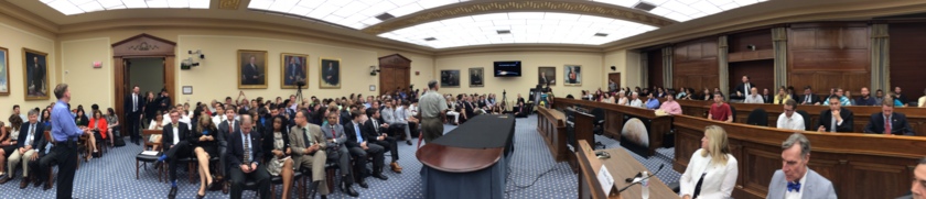 The Lure of Europa Full Room Panorama