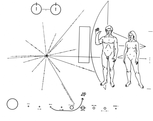 The illustrations on the Pioneer Plaque