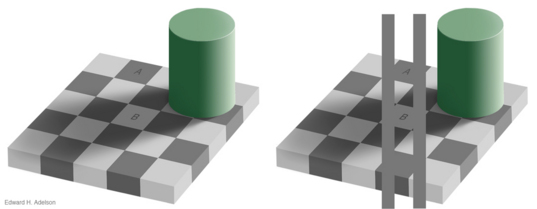 The “checkershadow” illusion