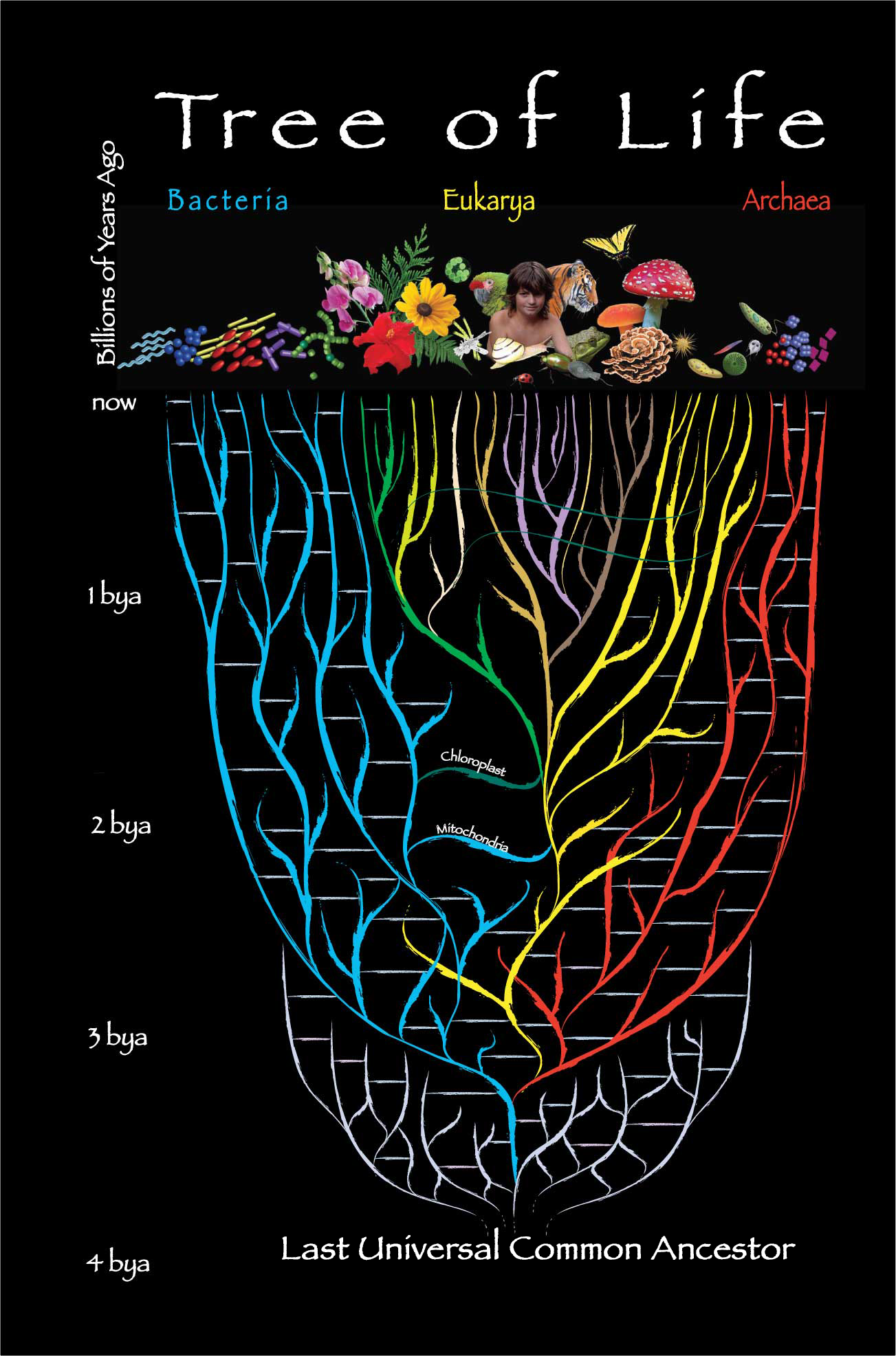 Planet Formation And The Origin Of Life The Planetary Society