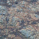 More newberries around Matijevich Hill