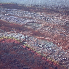 Tantalizing signs inside Perseverance