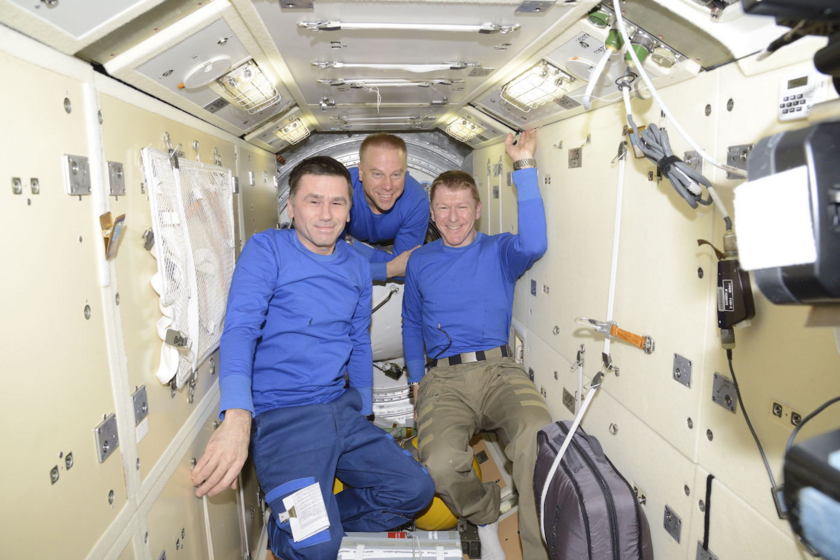 Expedition 47 crew boards Soyuz TMA-19M